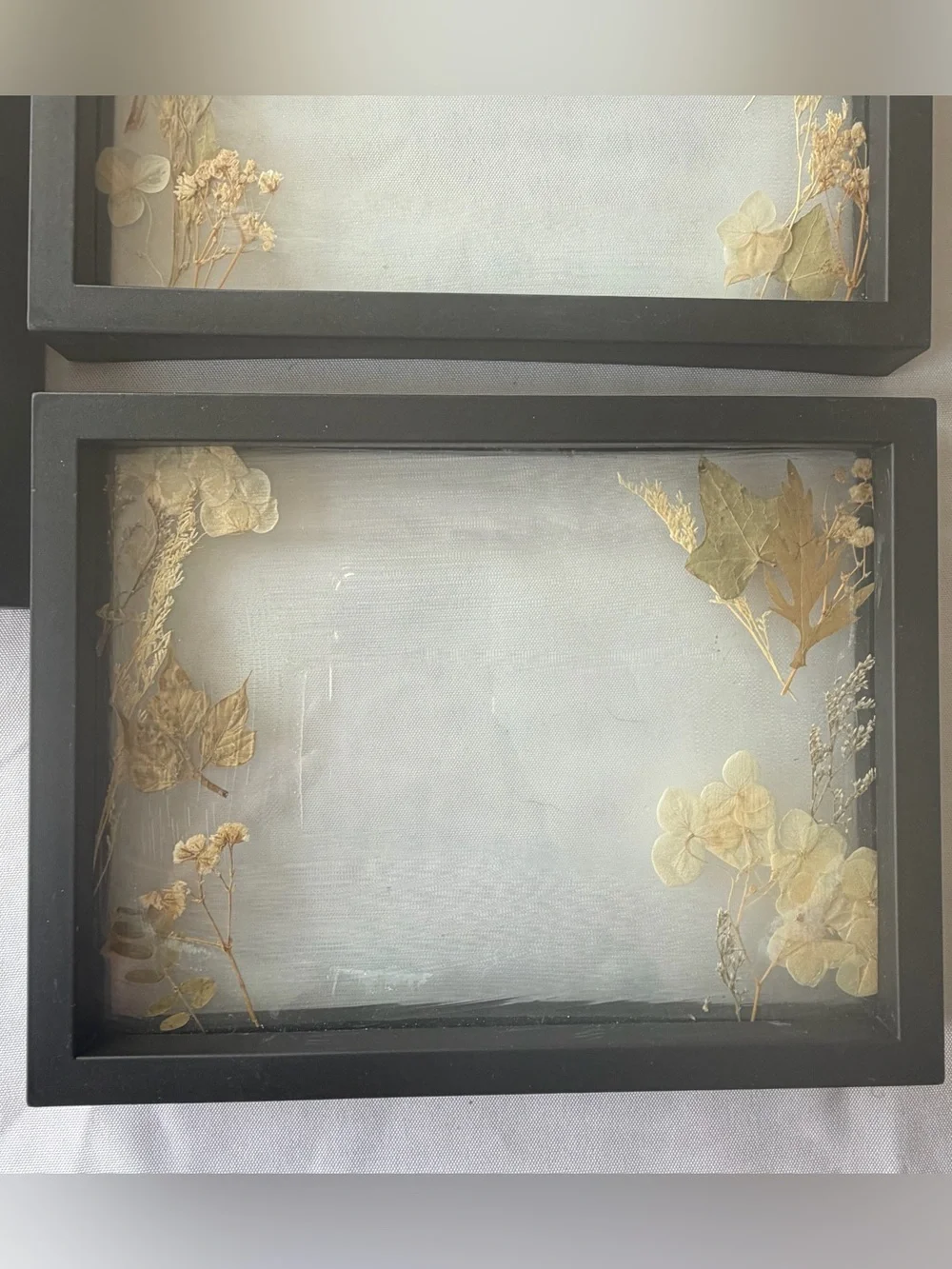 Lot of 5 black picture frames with dried flowers wedding party decor
